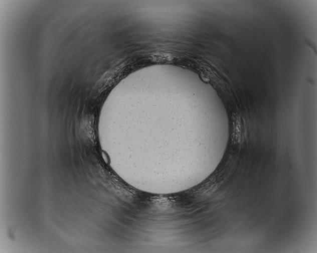 X0000100860616200807111255