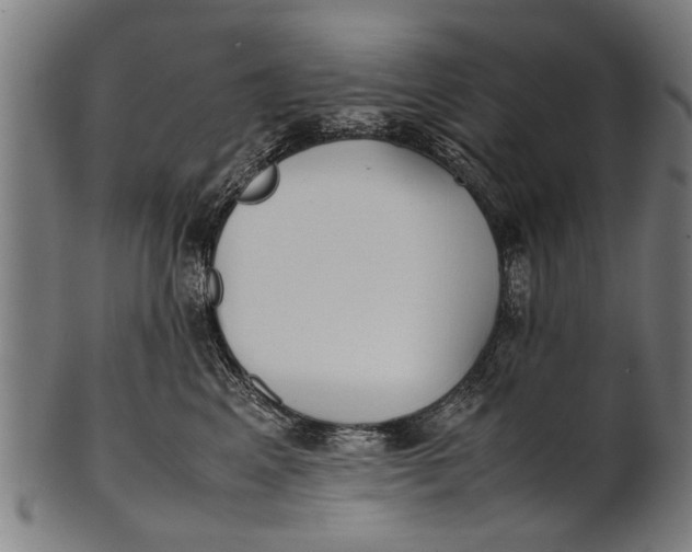 X0000100860617200807111255