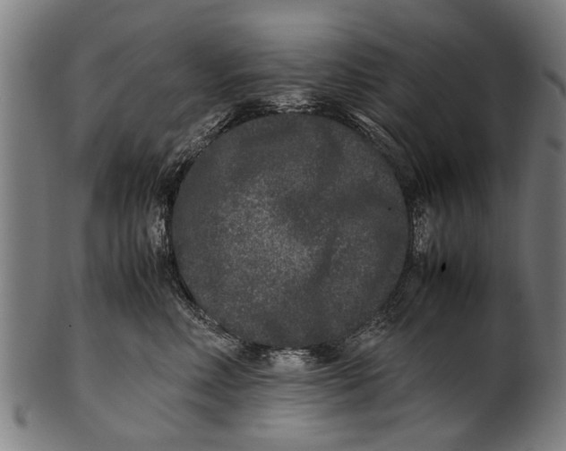 X0000100860618200807111254