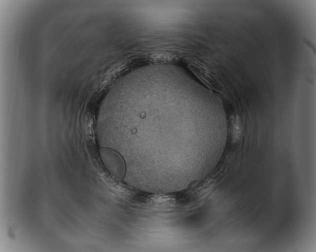 X0000100860619200807111254