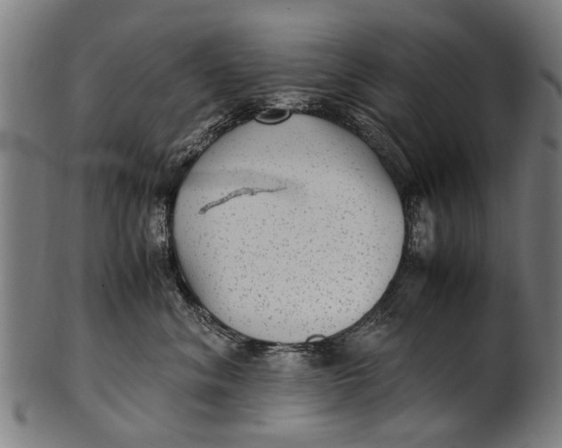 X0000100860620200807111254