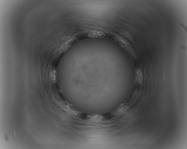 X0000100860621200807111254