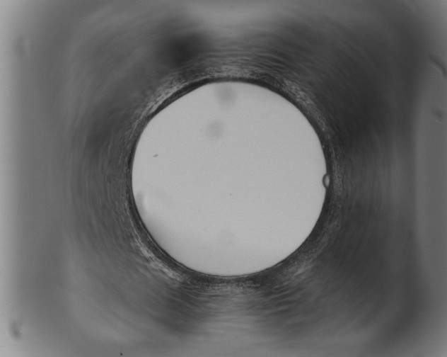 X0000100860625200807111254