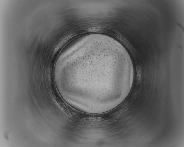 X0000100860626200807111254