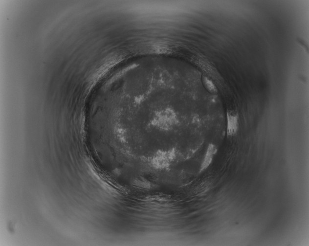 X0000100860627200807111254