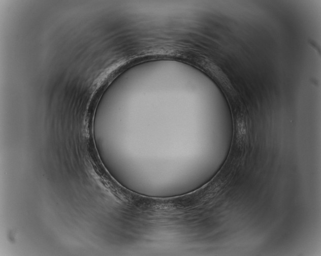 X0000100860628200807111254