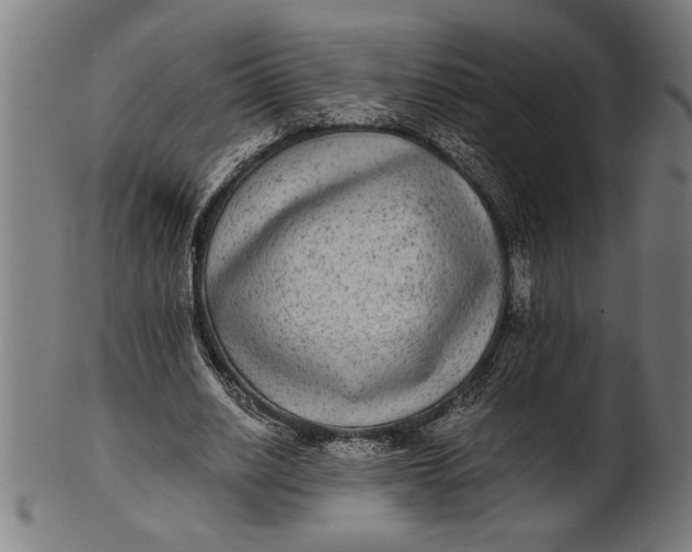 X0000100860630200807111254