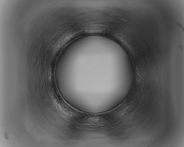 X0000100860631200807111254