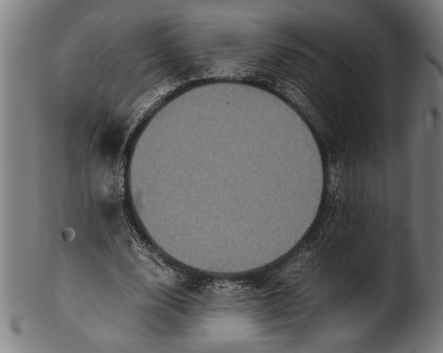 X0000100860632200807111254