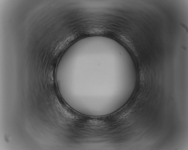 X0000100860633200807111254