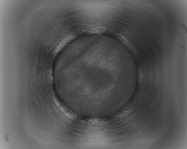 X0000100860634200807111254