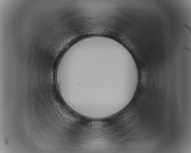 X0000100860636200807111254