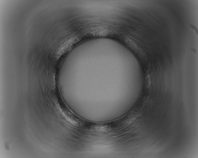 X0000100860638200807111254