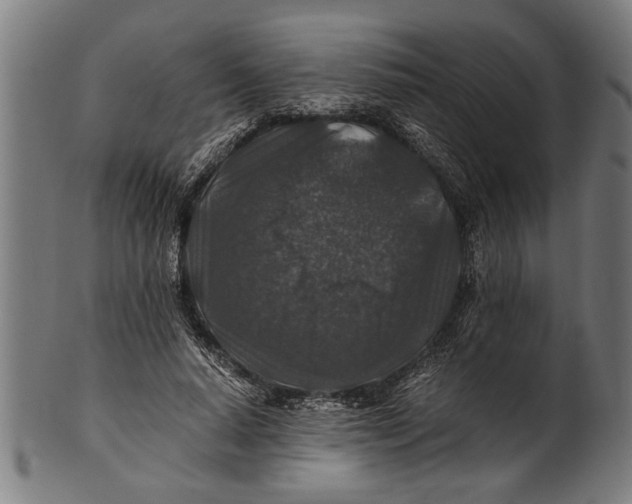 X0000100860640200807111254