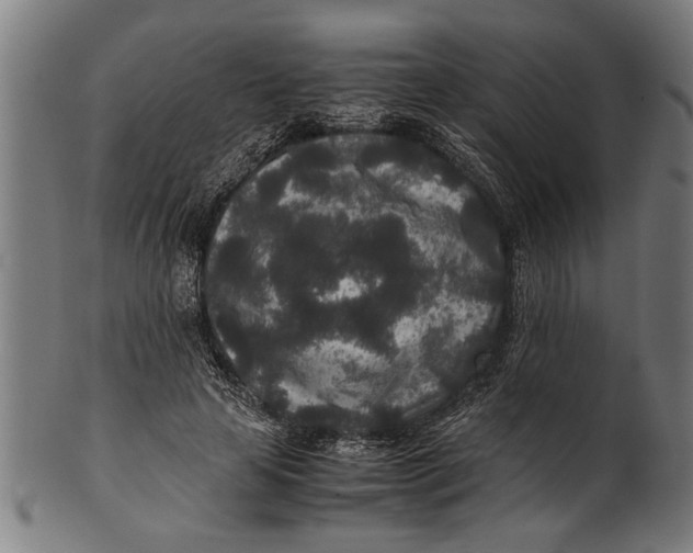 X0000100860641200807111254