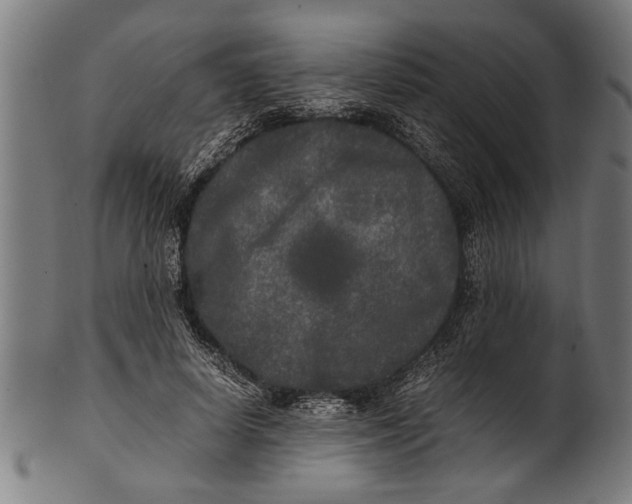 X0000100860642200807111254