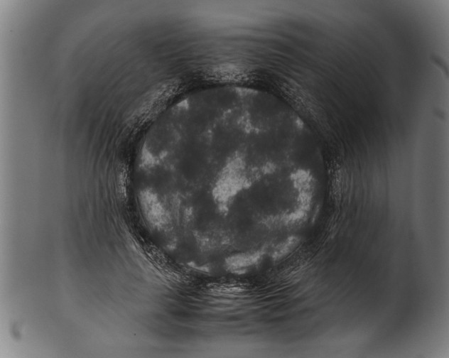 X0000100860643200807111254