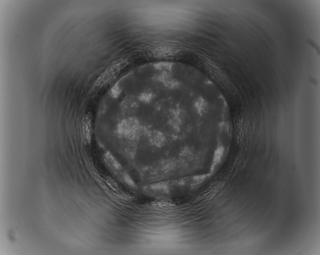 X0000100860644200807111254