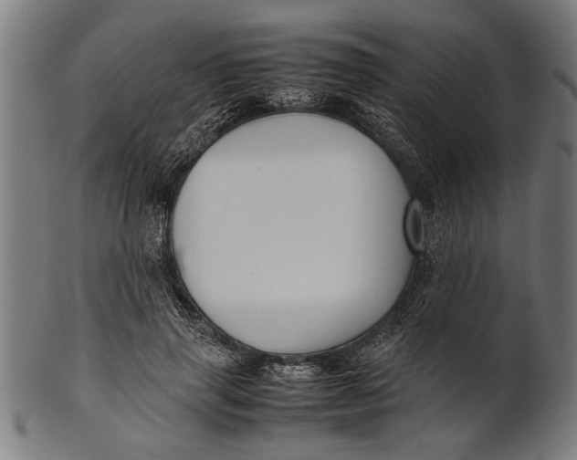 X0000100860645200807111254