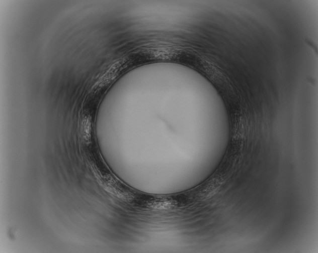 X0000100860646200807111254