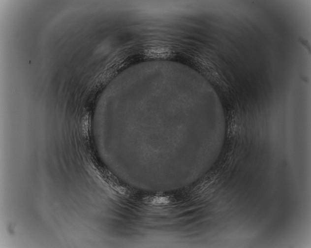 X0000100860647200807111254