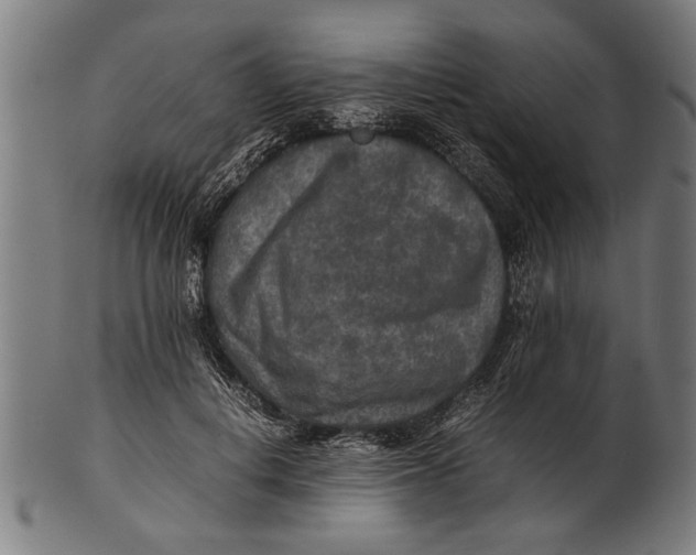 X0000100860648200807111254