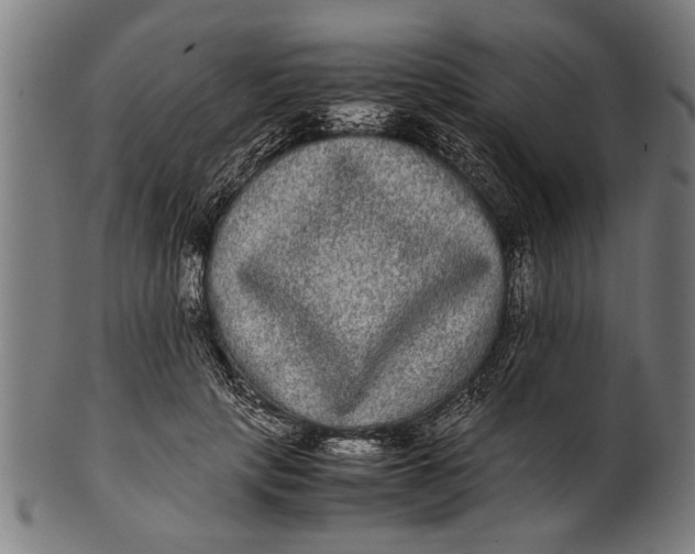 X0000100860649200807111254