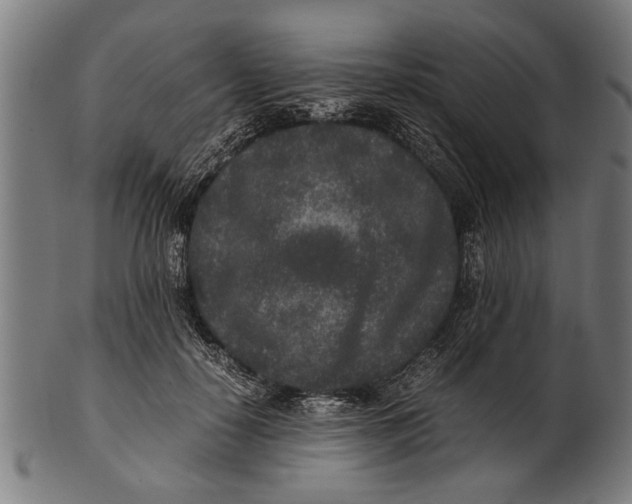 X0000100860650200807111254