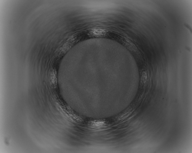 X0000100860651200807111254