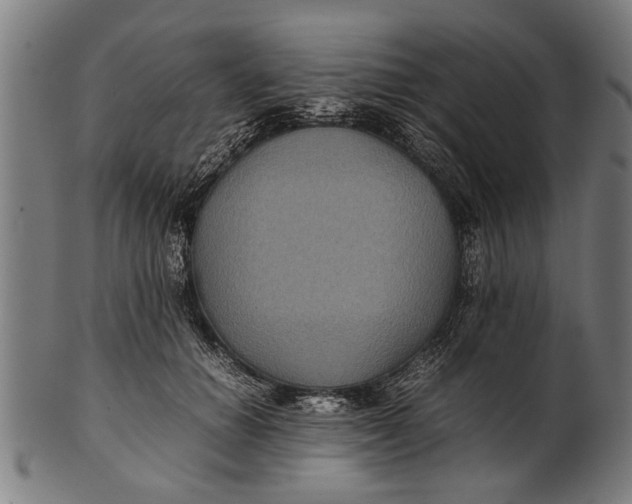 X0000100860654200807111254