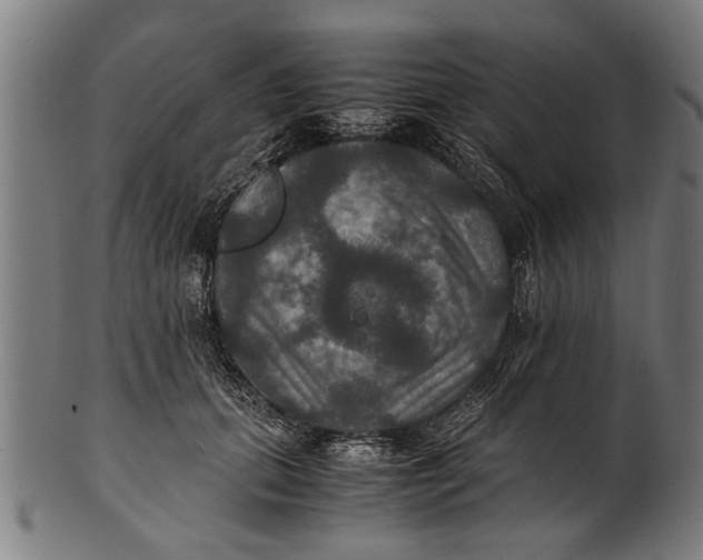 X0000100860655200807111254