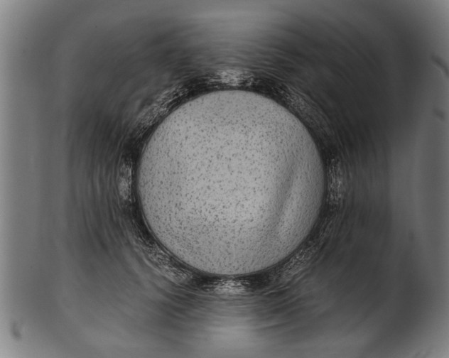 X0000100860656200807111254