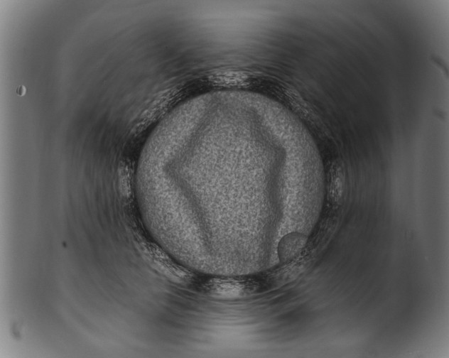 X0000100860658200807111254