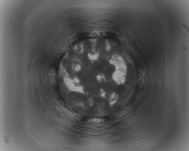 X0000100860659200807111254