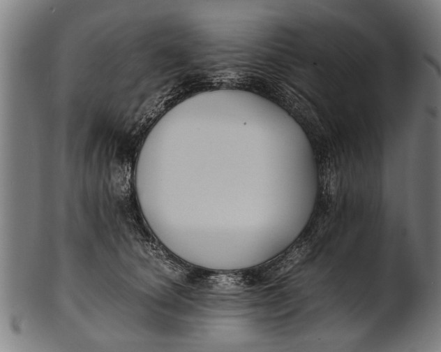 X0000100860660200807111254