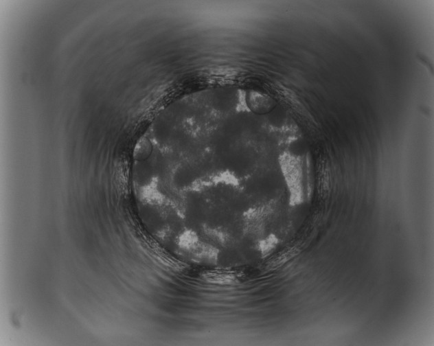 X0000100860661200807111254