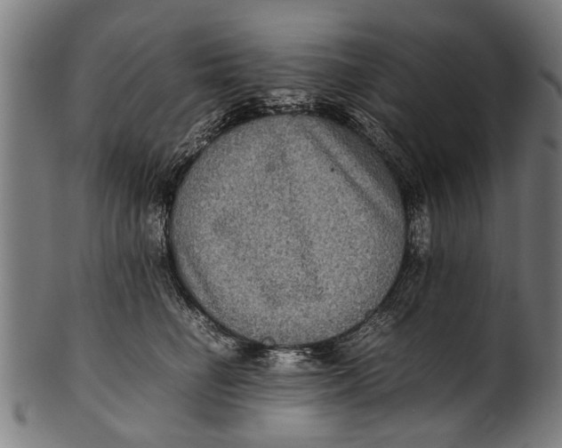 X0000100860662200807111254