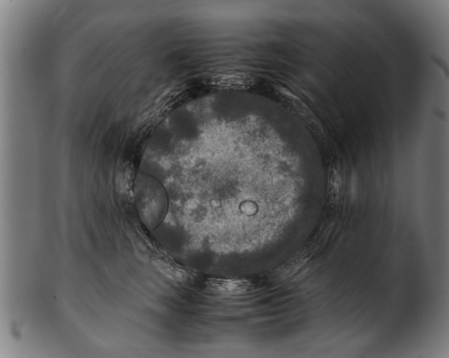 X0000100860663200807111254