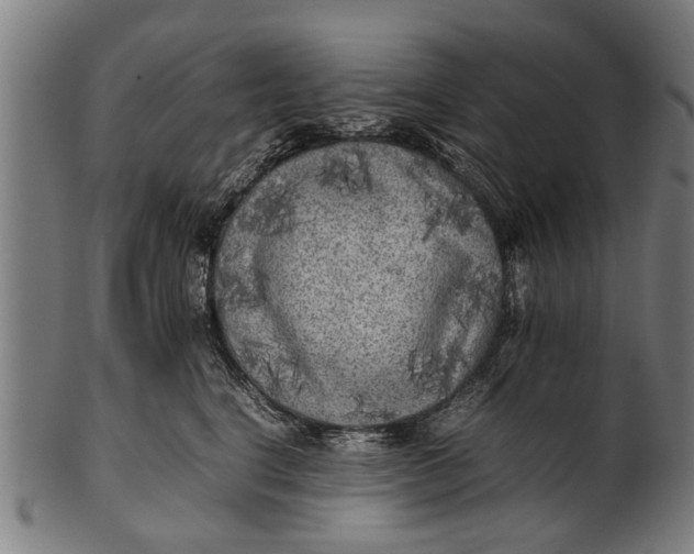 X0000100860664200807111254