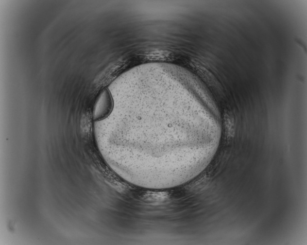 X0000100860665200807111254