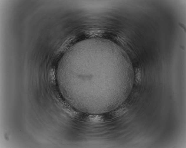 X0000100860667200807111254