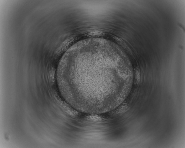 X0000100860668200807111254