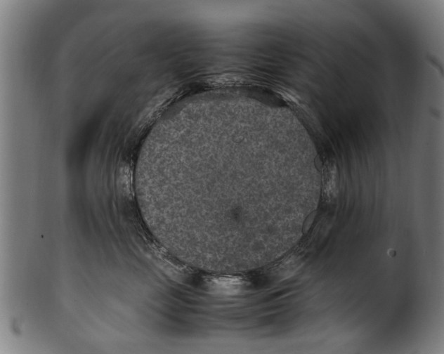 X0000100860669200807111254