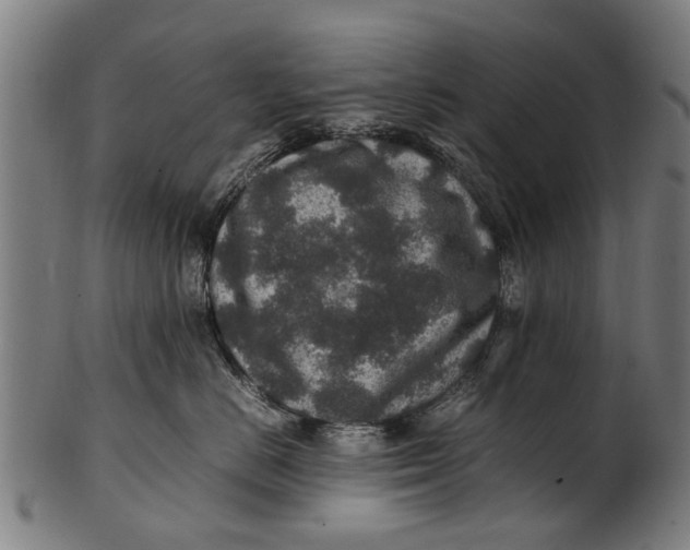 X0000100860670200807111254