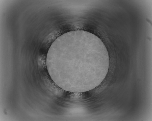 X0000100860672200807111254