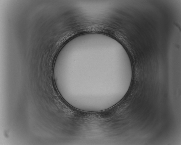 X0000100860673200807111254