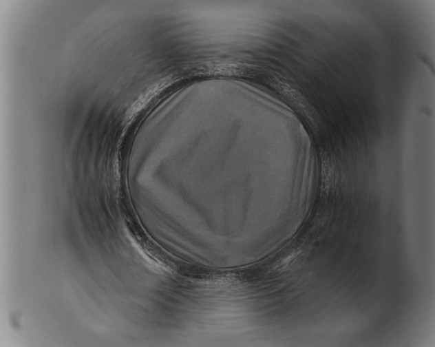 X0000100860674200807111254