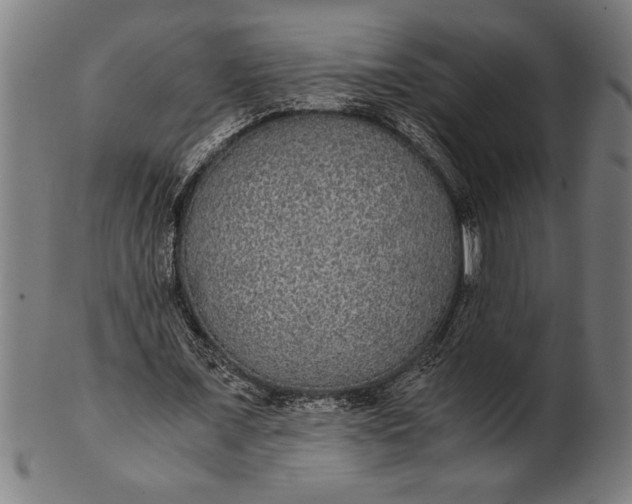 X0000100860675200807111254