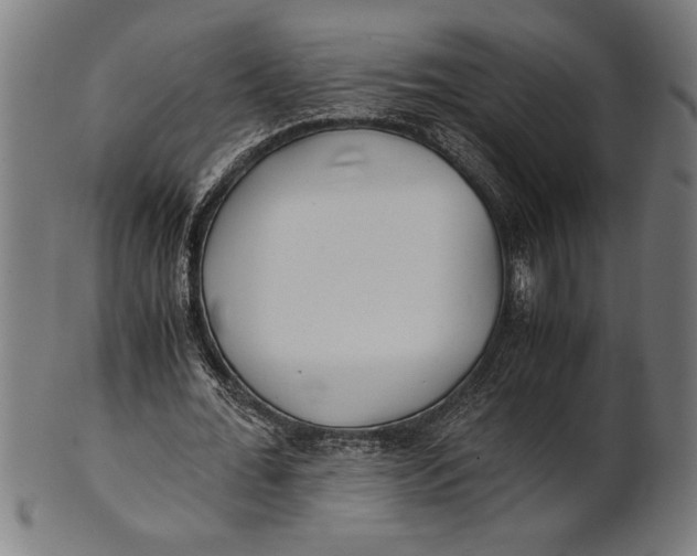 X0000100860676200807111254