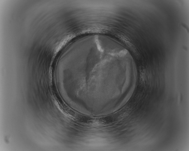 X0000100860678200807111253